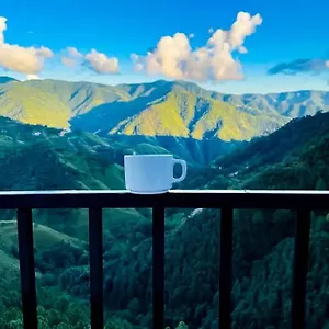 royal-cedar-bb-shimla-171009.shimlahotels.net/