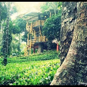 jungle-jive-farm-house-and-tree-house.hotels-munnar.com/